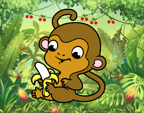 Monito con plátano