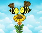 Pareja de abejas