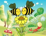 Pareja de abejas