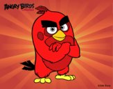 Red de Angry Birds