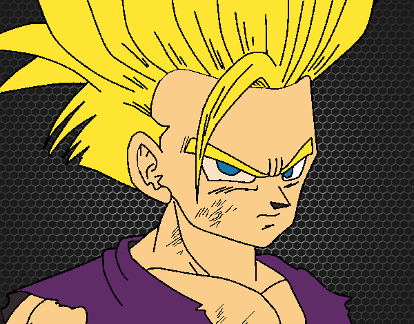 Son Gohan