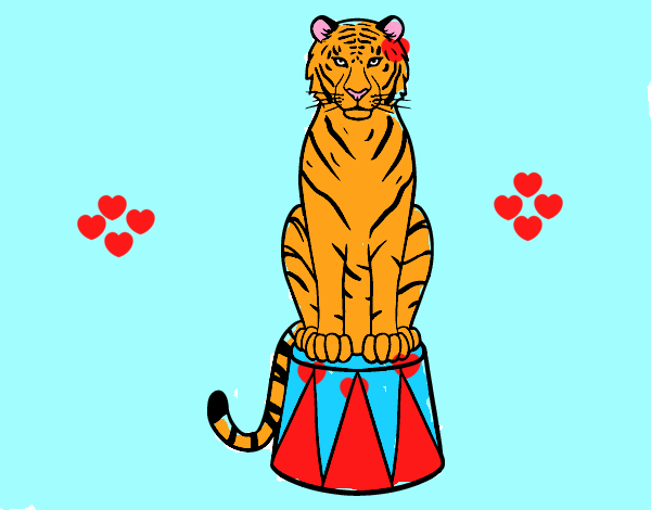 tigre del circo