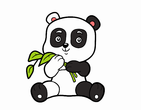 Un oso panda