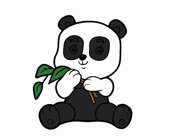 Un oso panda