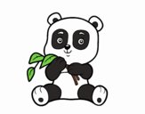 Un oso panda