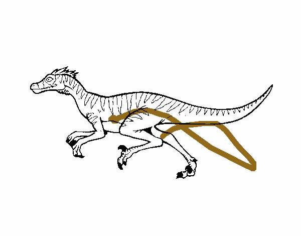 Velociraptor