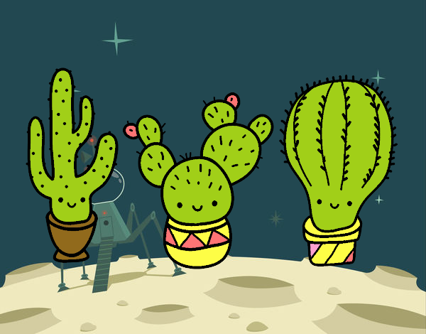 3 mini cactus