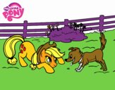 Applejack y Winona