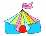 Circo