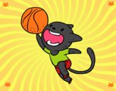 Gato jugando a baloncesto