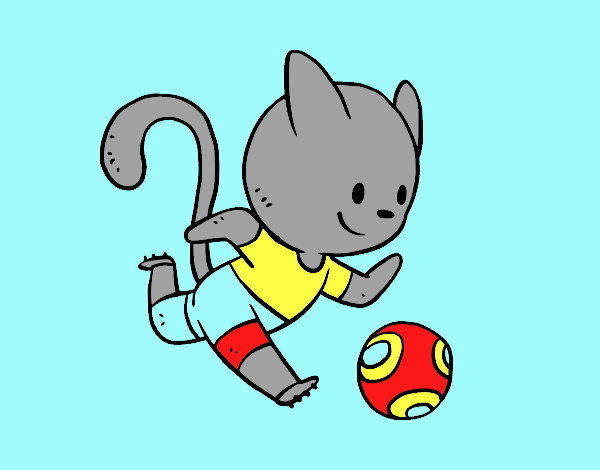 Gato jugando a fútbol