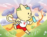 Gato runner