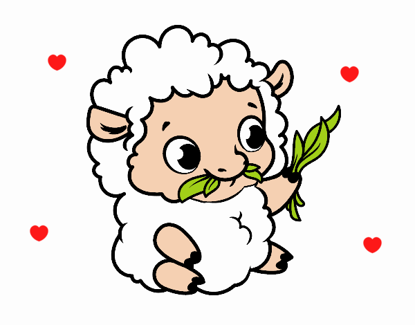 bebé oveja