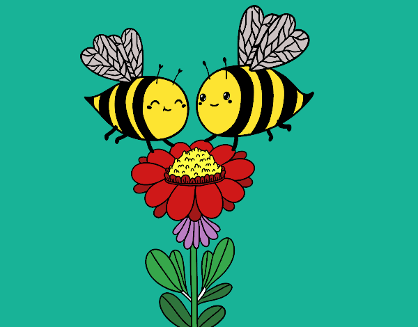 Pareja de abejas