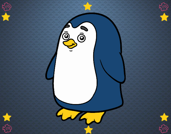 pinguino