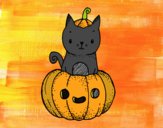 Un gatito de Halloween