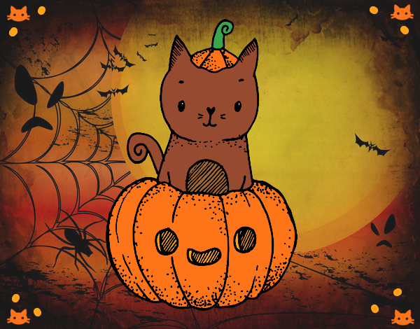 Un gatito de Halloween