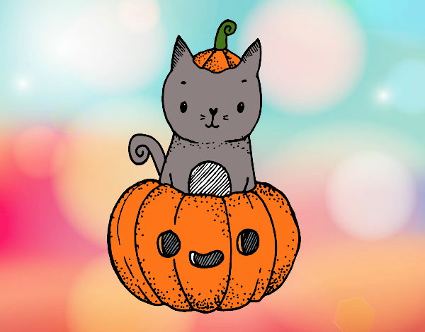 gatito en una calabaza