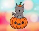 Un gatito de Halloween