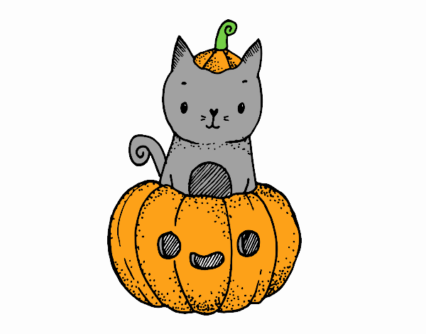gatito en calabaza de hallowen