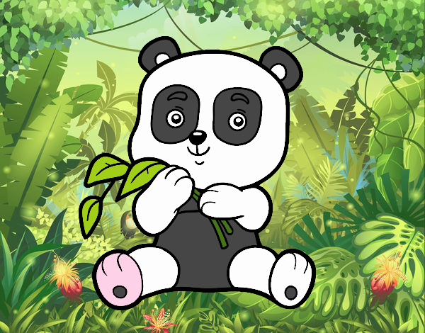 pandi