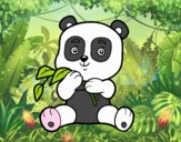 Un oso panda