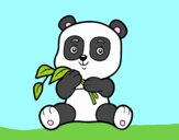 Un oso panda