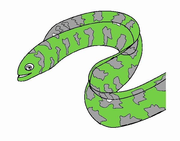 serpiente mala