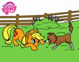 Applejack y Winona