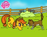 Applejack y Winona