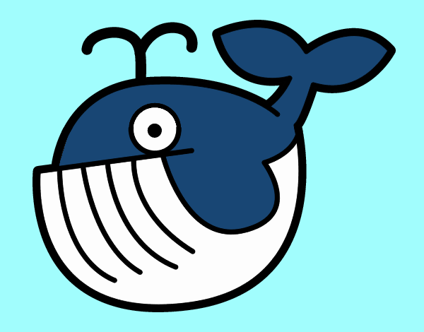 Ballena bebé