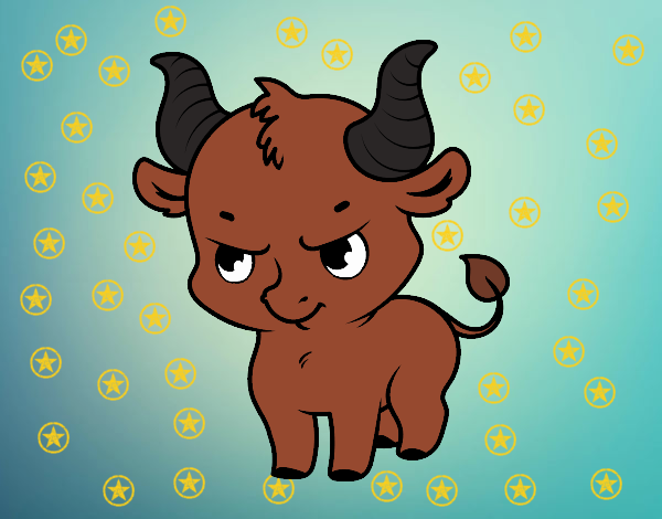 torito 