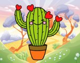 Cactus corazón