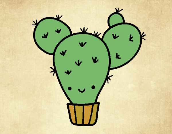 Cactus nopal