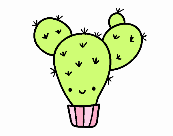 el cactus felis