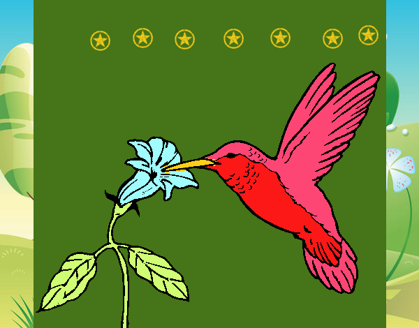 El colibri y la flor