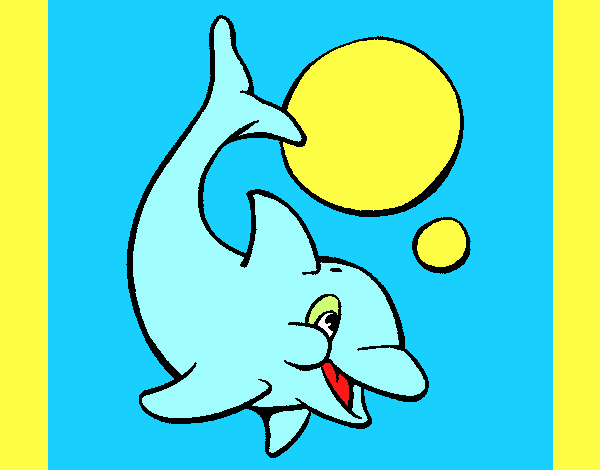 los trucos del delfin luilli