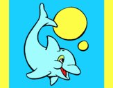 Delfín jugando con una pelota 1