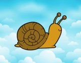 El caracol