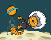 Gatito astronauta