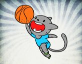 Gato jugando a baloncesto