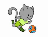 Gato jugando a fútbol