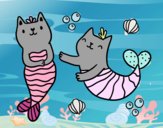 Gatos sirena