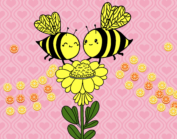 Pareja de abejas