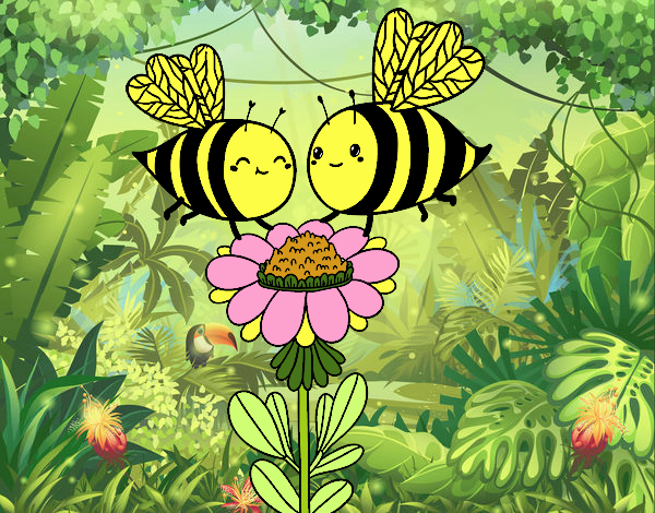 Pareja de abejas