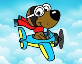 Perro piloto