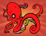 Pulpo enfadado