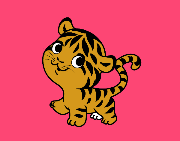 Tigre bebé