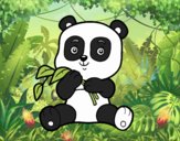 Un oso panda