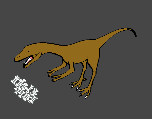 Velociraptor II 1